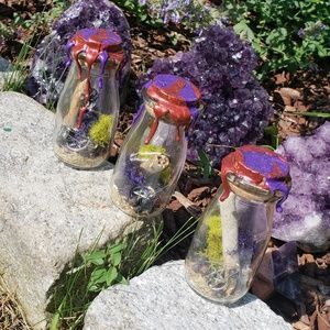 Sea witch protection jars